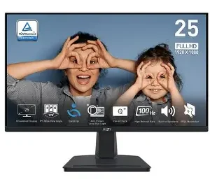 MSI PRO MP251 25" FHD 100Hz Professional Monitor