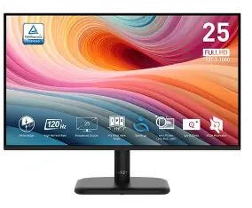MSI PRO MP251L E2 25" FHD IPS Panel 120Hz Professional Monitor